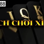 Cách Chơi Bài Xì Tố